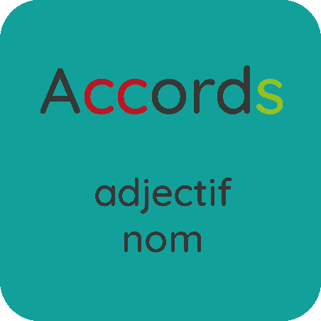 Accords adjectif-nom